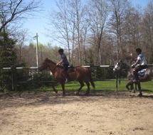 Cu-caii-la-Ghiocelul-2729