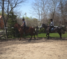 Cu-caii-la-Ghiocelul-2730