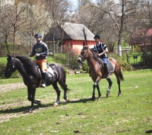 Cu-caii-la-Ghiocelul-2789