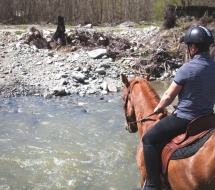 Cu-caii-la-Ghiocelul-2791