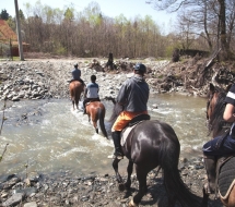 Cu-caii-la-Ghiocelul-2798