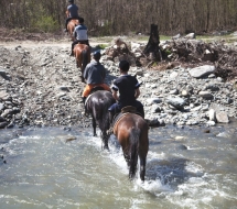 Cu-caii-la-Ghiocelul-2805