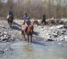 Cu-caii-la-Ghiocelul-2809