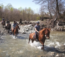 Cu-caii-la-Ghiocelul-2822