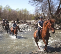 Cu-caii-la-Ghiocelul-2823