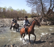 Cu-caii-la-Ghiocelul-2825