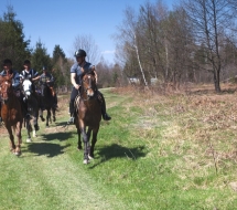 Cu-caii-la-Ghiocelul-2951