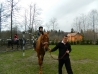 DSCN1685