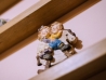 GHIOCELUL FOTO (135)